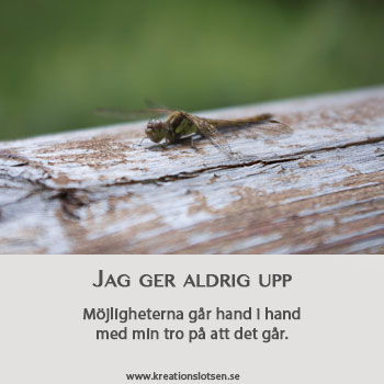 Inspiration-ge-aldrig-upp-350