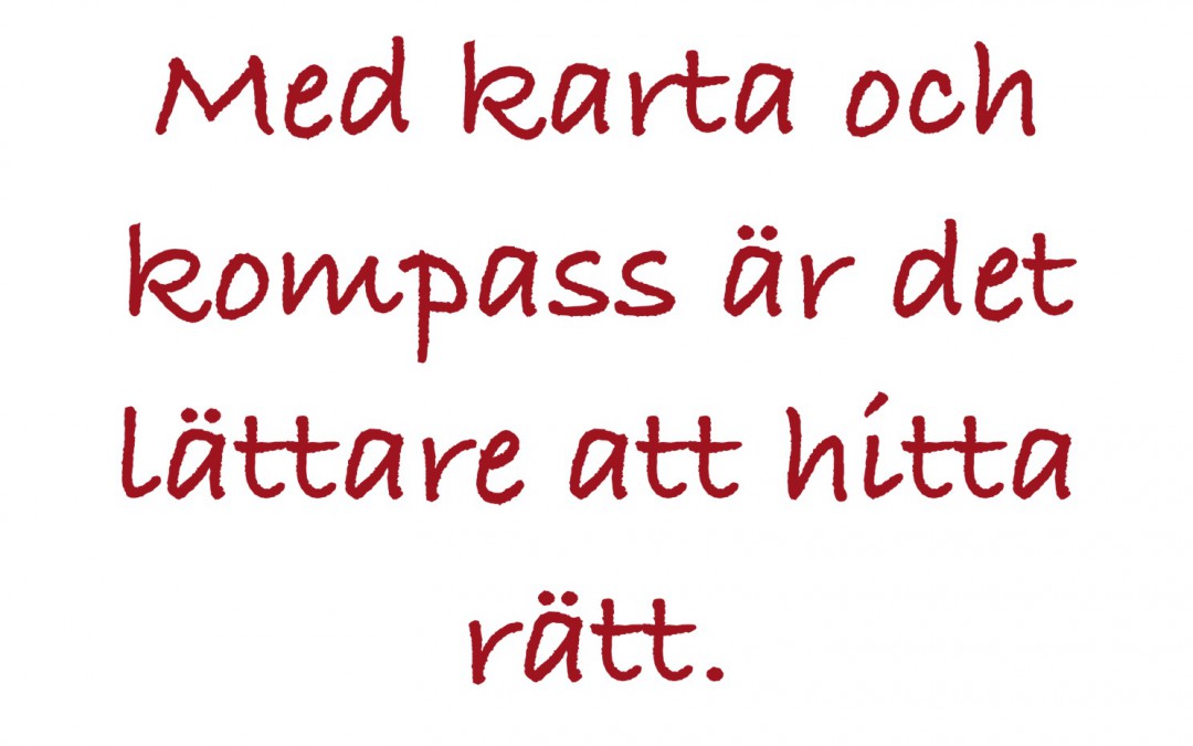 Kreationslotsen, synopsis, plan bokmanus, skrivkurs