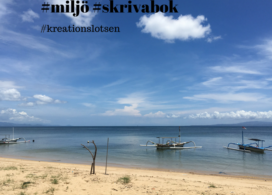 skriva bok med kreationslotsen miljöbeskrivningar