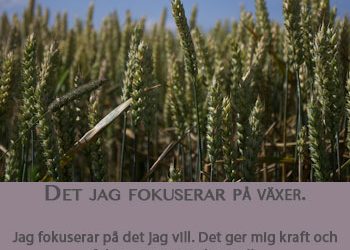 Lärande och kunskap – naturligt eller ett måste?