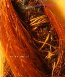 Erika Chotai – Att lyckas med sin bok