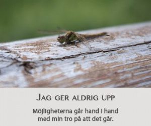 Utveckla ditt kreativa skrivande