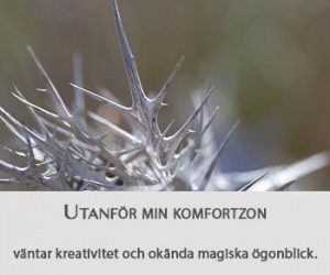 Att lära sig ett hantverk som skrivande