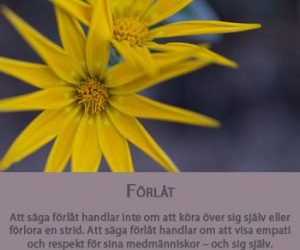 Konsten att säga förlåt