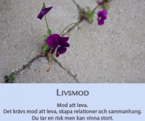 Är du livsmodig?