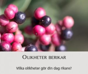 Rätten att säga negerboll