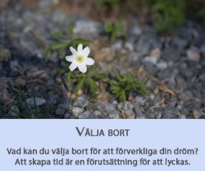 Livet som författare