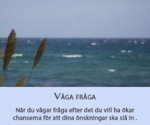 Teman för författare