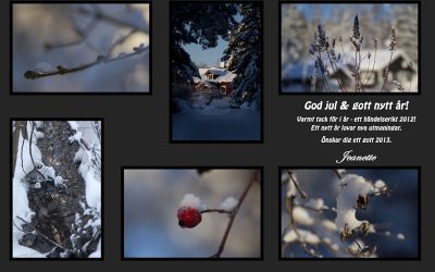 God jul & gott nytt år!
